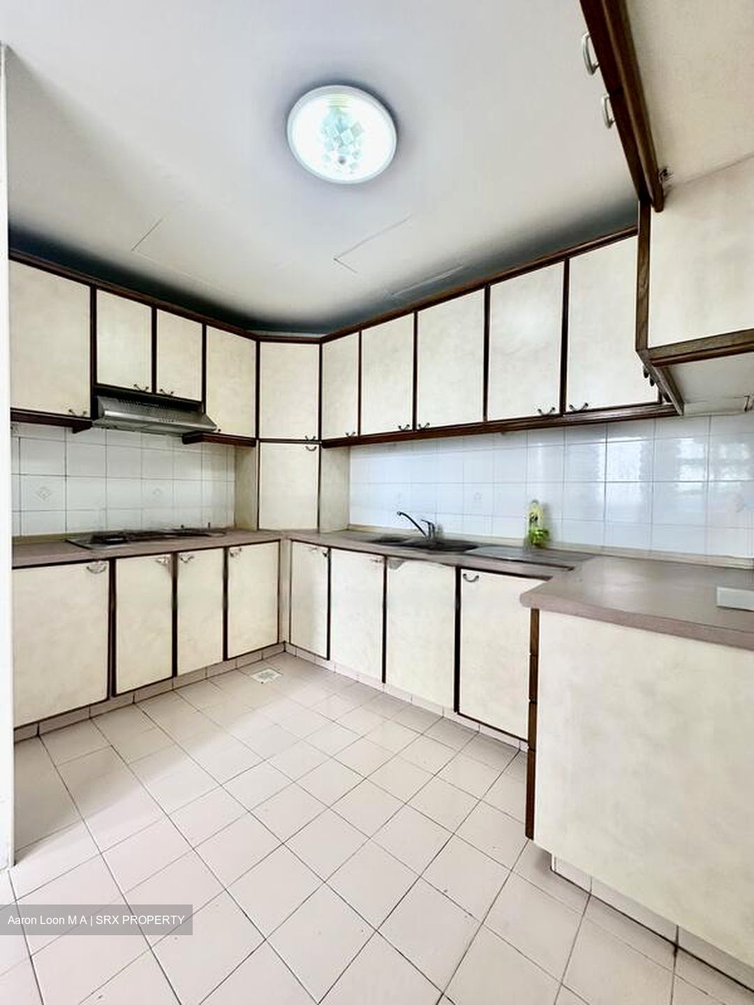 Fortune Park (D19), Condominium #544432741
